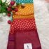 Bandini Printed Saree Multicolor