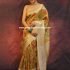 Tissue Saree - Gold